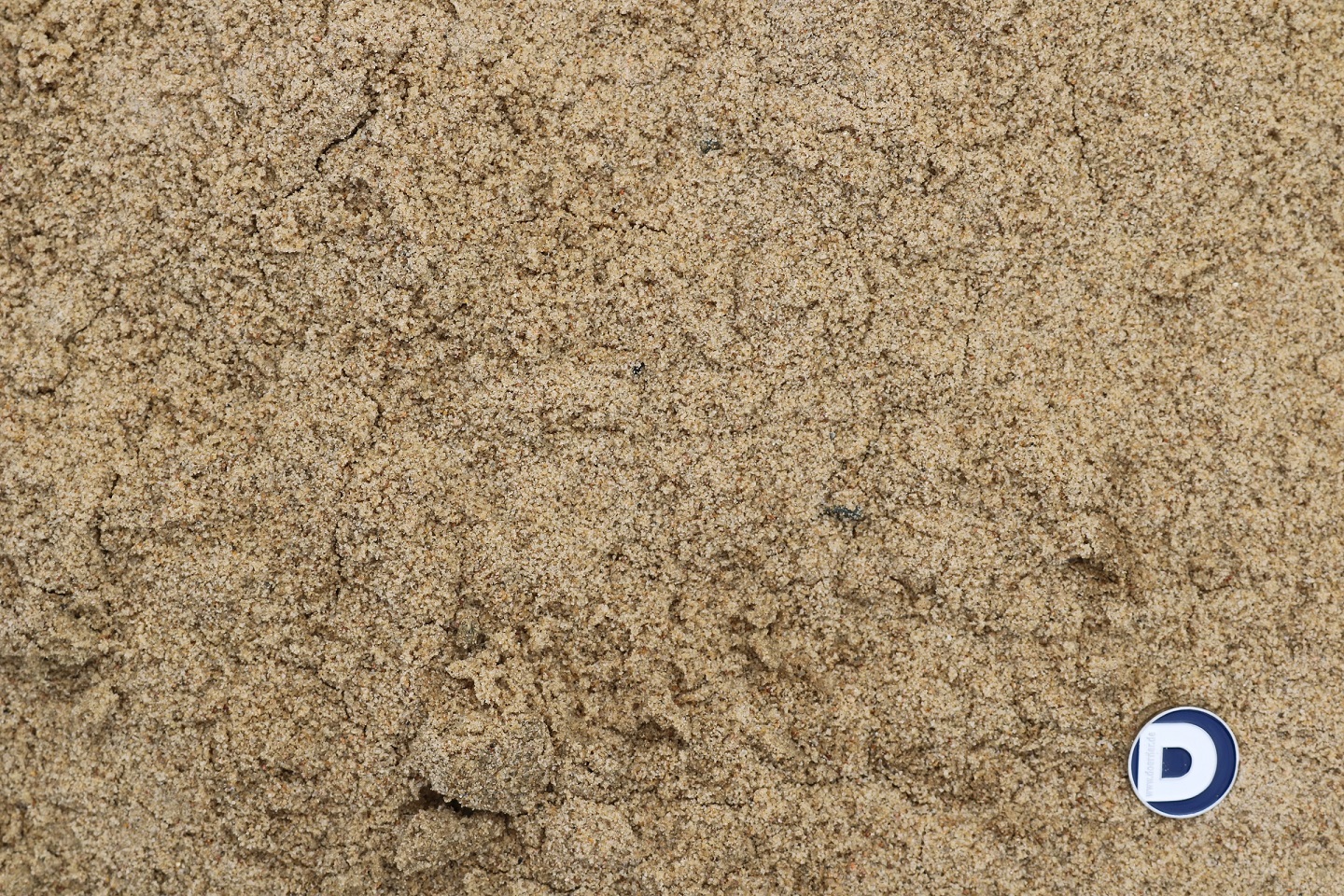 Sand F1 (frostsicher)
