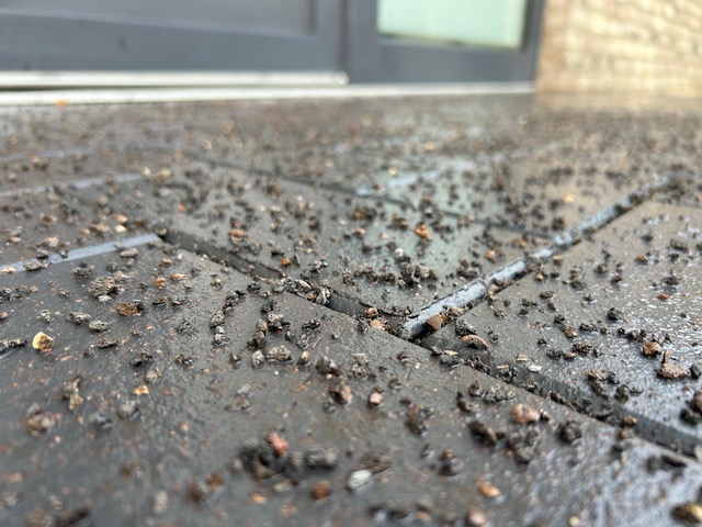 ODELITH Winterstreu 2-4 mm (gebrochener Blähton)