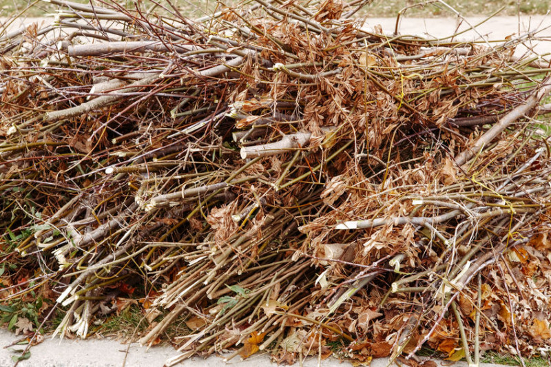 Gartenabfallentsorgung Service für grüne Abfälle und Gartenabfälle in Norddeutschland - Professionelle Entsorgung und Recycling Haufen mit Zweigen und Ästen